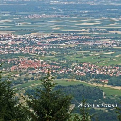 Alsace du mont saint odile