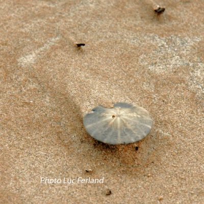 Iles-de-la-madeleine-18