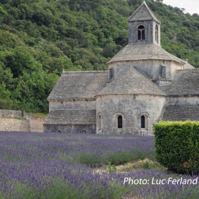 Abbaye Notre-Dame de Sénanque, Provence.1