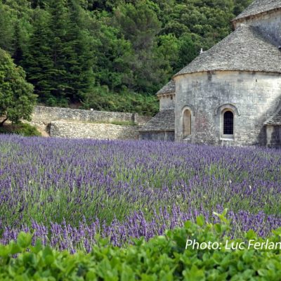 Abbaye Notre-Dame de Sénanque, Provence.2