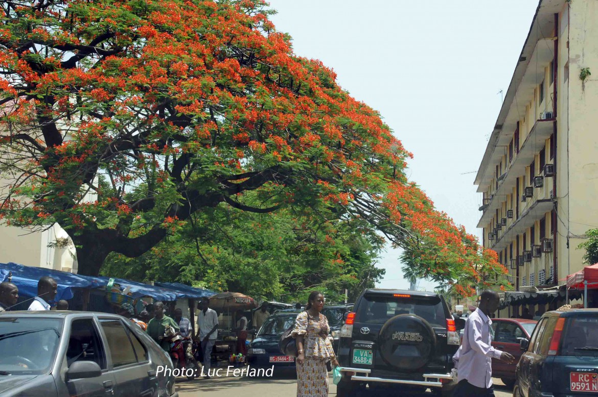 Guinée-1