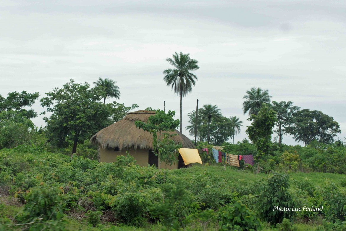 Guinée-10