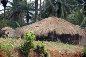 Guinée-4